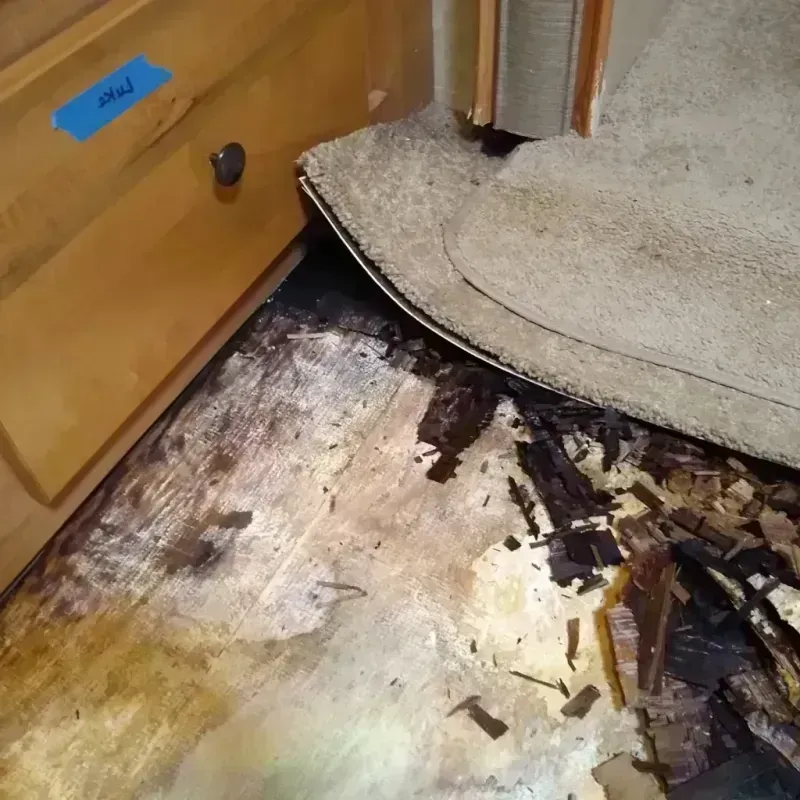 Wood Floor Water Damage in Cook County, GA